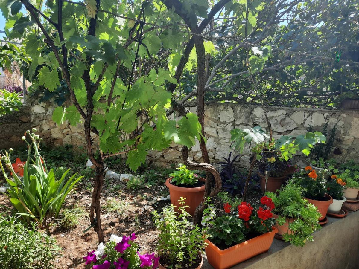 Apartment Ema Trogir Dış mekan fotoğraf