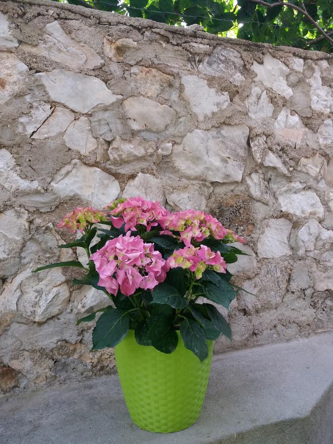 Apartment Ema Trogir Dış mekan fotoğraf